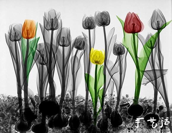 猶如水墨畫的創(chuàng)意攝影作品 -  rpnrmr.com