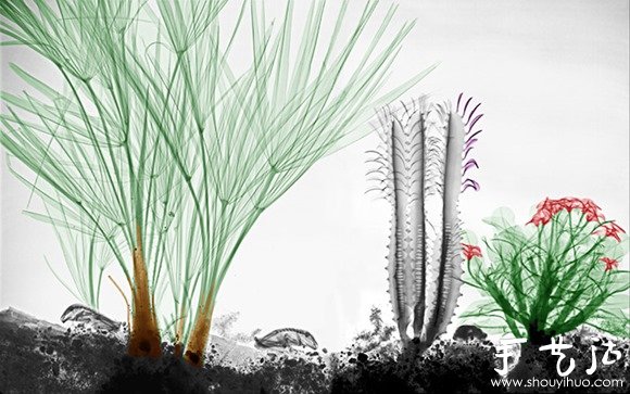 猶如水墨畫的創(chuàng)意攝影作品 -  rpnrmr.com