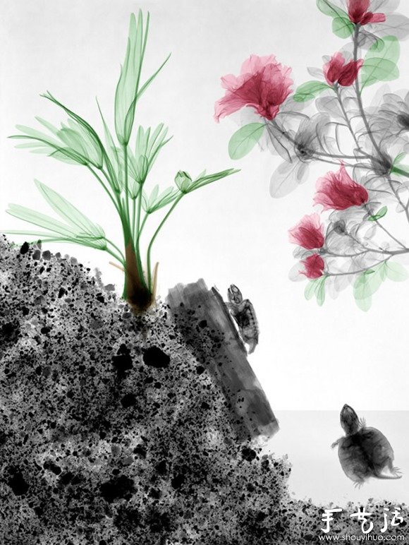 猶如水墨畫的創(chuàng)意攝影作品 -  rpnrmr.com