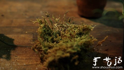 玻璃瓶制作屬于你的秘密花園 -  rpnrmr.com
