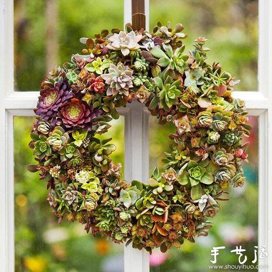 DIY漂亮多肉植物花環(huán) 裝飾溫馨家居生活 -  rpnrmr.com