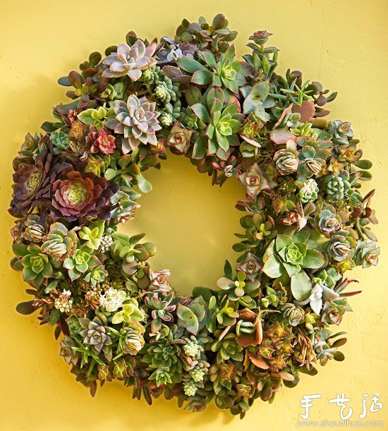 DIY漂亮多肉植物花環(huán) 裝飾溫馨家居生活 -  rpnrmr.com
