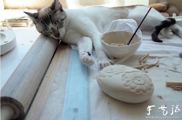 植物與陶藝結(jié)合DIY漂亮美陶 -  rpnrmr.com