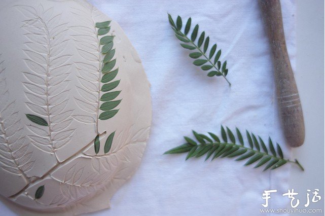 植物與陶藝結(jié)合DIY漂亮美陶 -  rpnrmr.com