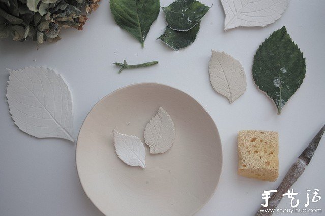 植物與陶藝結(jié)合DIY漂亮美陶 -  rpnrmr.com