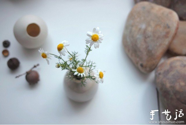 植物與陶藝結(jié)合DIY漂亮美陶 -  rpnrmr.com