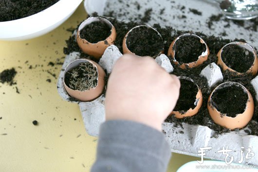 雞蛋殼巧利用DIY迷你盆栽 -  rpnrmr.com