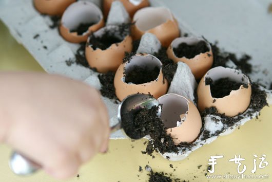 雞蛋殼巧利用DIY迷你盆栽 -  rpnrmr.com