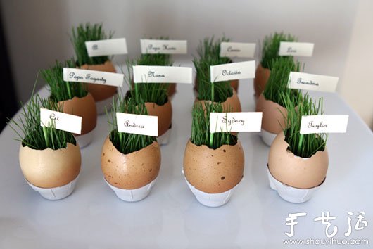 雞蛋殼巧利用DIY迷你盆栽 -  rpnrmr.com