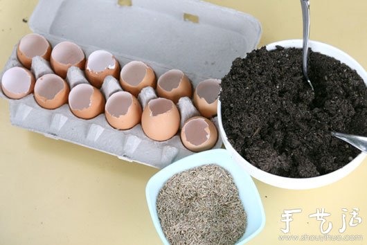 雞蛋殼巧利用DIY迷你盆栽 -  rpnrmr.com