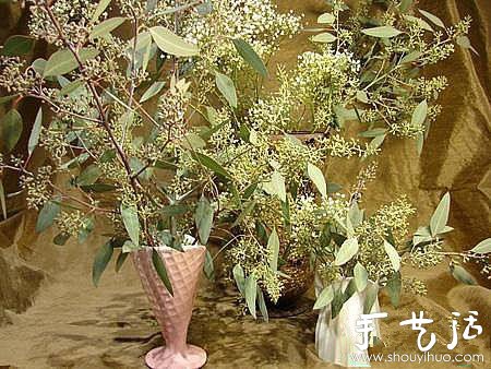 干花制作方法 如何制作干花 -  rpnrmr.com