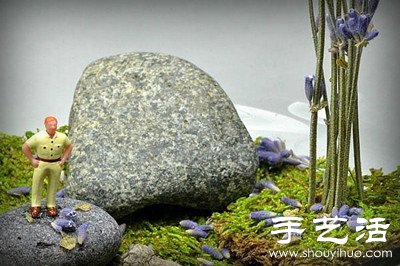 DIY玻璃杯中的微型世界 -  rpnrmr.com