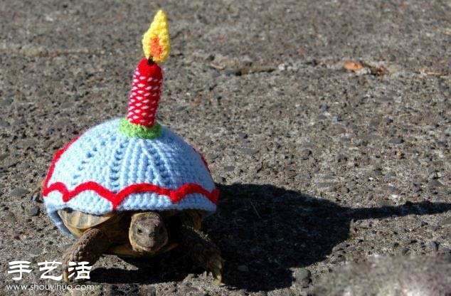 創(chuàng)意針織：假如給烏龜穿上衣服！ -  rpnrmr.com