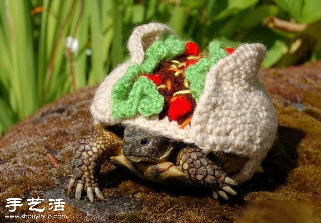 創(chuàng)意針織：假如給烏龜穿上衣服！ -  rpnrmr.com