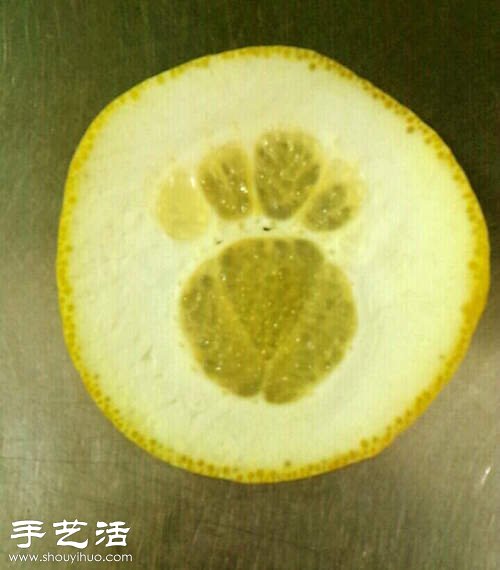 奇妙有趣的治愈系水果蔬菜橫切面 -  rpnrmr.com