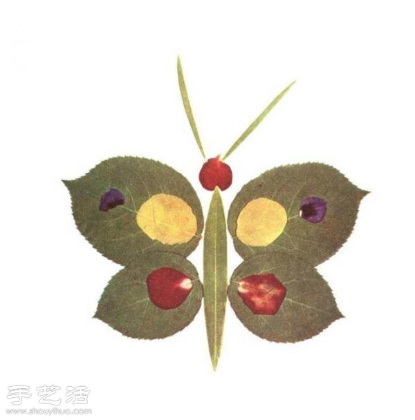 樹(shù)葉+創(chuàng)意 手工制作有趣的拼貼畫(huà) -  rpnrmr.com