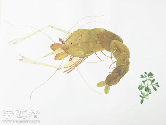 樹(shù)葉+創(chuàng)意 手工制作有趣的拼貼畫(huà) -  rpnrmr.com