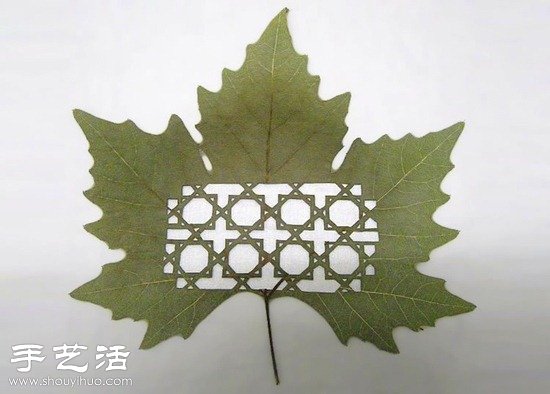 融合中國剪紙及雕花工藝的樹葉雕刻 -  rpnrmr.com