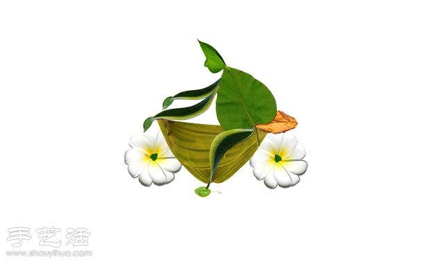 樹葉+創(chuàng)意 DIY精美逼真拼貼畫 -  rpnrmr.com