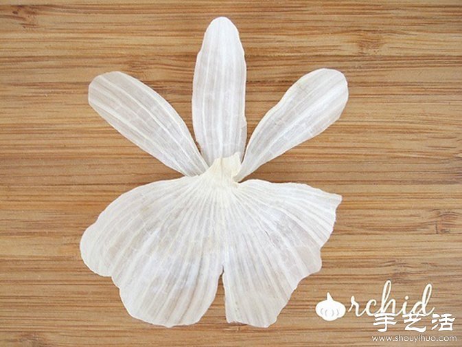 創(chuàng)意DIY：原來(lái)大蒜也能玩得這么有趣！ -  rpnrmr.com