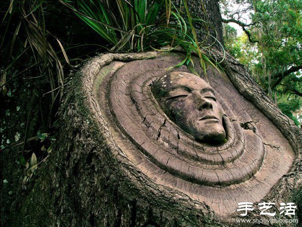 樹(shù)木雕刻 雕塑藝術(shù)與自然的融合 -  rpnrmr.com