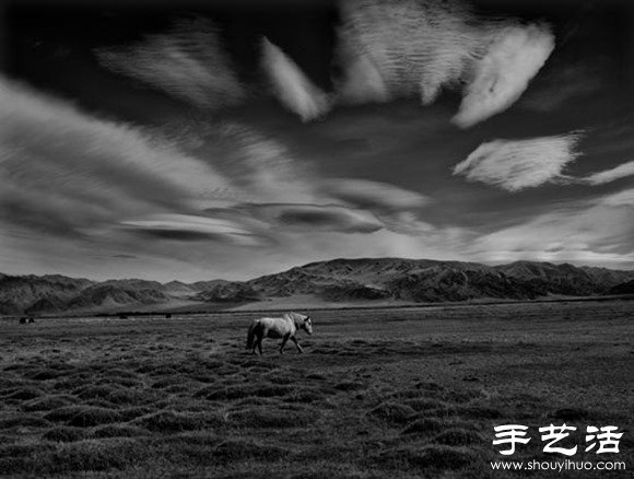 2014年Sony World攝影大賽之趣味狂野動物世界 -  rpnrmr.com