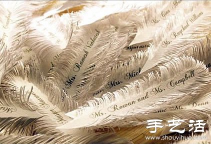 紙張/不織布+鐵絲 手工制作浪漫羽毛 -  rpnrmr.com