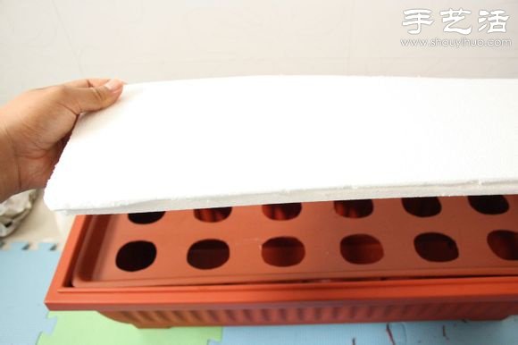 超詳細(xì)水培種菜教程 家里也可以方便種菜啦！ -  rpnrmr.com