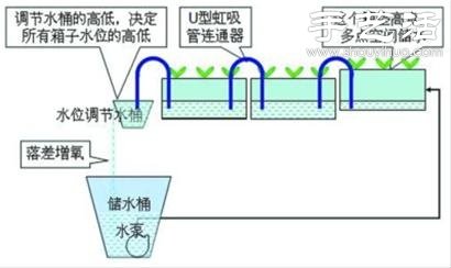超詳細(xì)水培種菜教程 家里也可以方便種菜啦！ -  rpnrmr.com