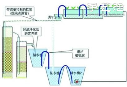 超詳細(xì)水培種菜教程 家里也可以方便種菜啦！ -  rpnrmr.com