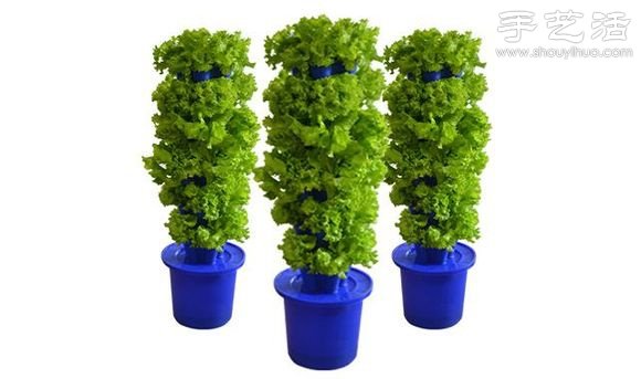 超詳細(xì)水培種菜教程 家里也可以方便種菜啦！ -  rpnrmr.com
