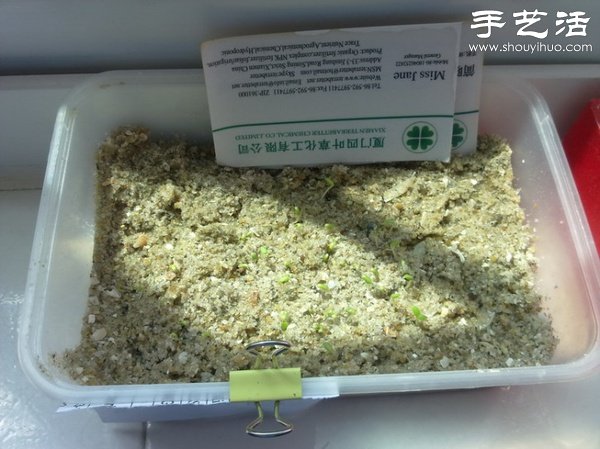 超詳細(xì)水培種菜教程 家里也可以方便種菜啦！ -  rpnrmr.com