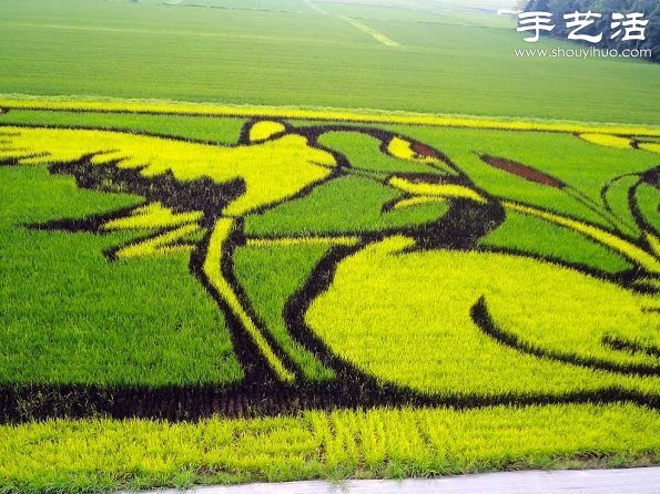 奇妙有趣創(chuàng)意DIY 稻田里創(chuàng)作巨幅畫(huà)卷 -  rpnrmr.com