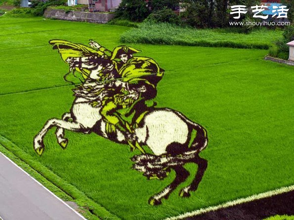 奇妙有趣創(chuàng)意DIY 稻田里創(chuàng)作巨幅畫(huà)卷 -  rpnrmr.com