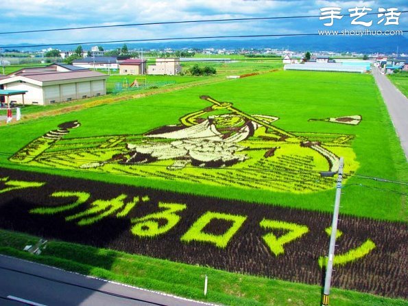 奇妙有趣創(chuàng)意DIY 稻田里創(chuàng)作巨幅畫(huà)卷 -  rpnrmr.com