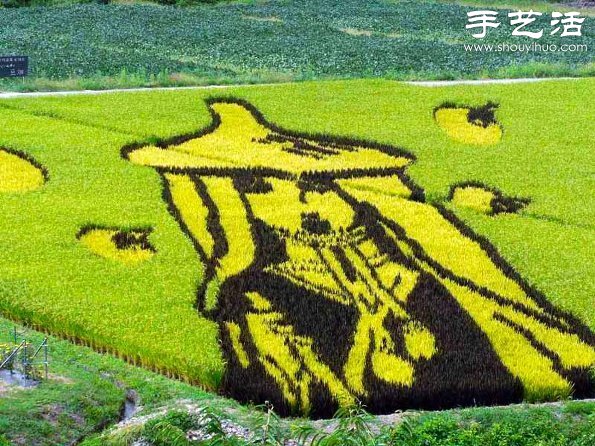 奇妙有趣創(chuàng)意DIY 稻田里創(chuàng)作巨幅畫(huà)卷 -  rpnrmr.com