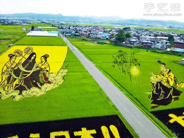 奇妙有趣創(chuàng)意DIY 稻田里創(chuàng)作巨幅畫(huà)卷 -  rpnrmr.com