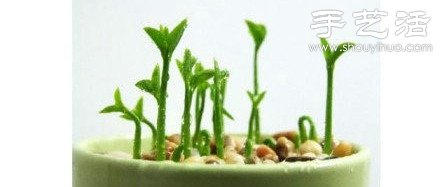 柚子核/桂圓核廢物利用 手工自制可愛小盆栽 -  rpnrmr.com