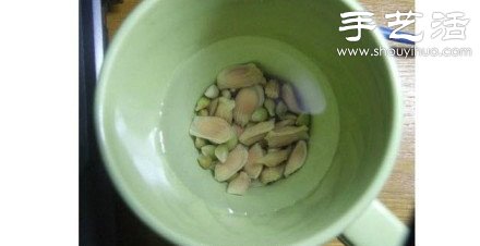 柚子核/桂圓核廢物利用 手工自制可愛小盆栽 -  rpnrmr.com