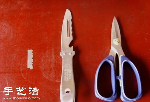 如何嫁接仙人球 仙人球嫁接步驟 -  rpnrmr.com