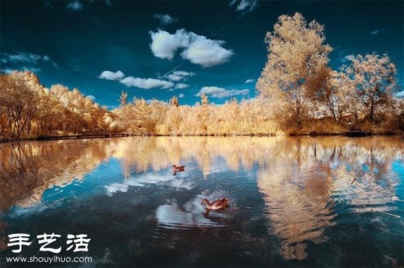 創(chuàng)意攝影：紅外線拍攝 發(fā)現(xiàn)不一樣的世界 -  rpnrmr.com