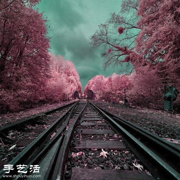 創(chuàng)意攝影：紅外線拍攝 發(fā)現(xiàn)不一樣的世界 -  rpnrmr.com