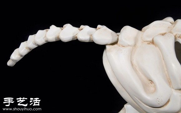 印度藝術(shù)家DIY的史前怪獸汽車模型 -  rpnrmr.com