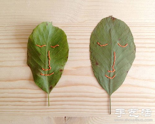 落葉創(chuàng)意DIY另類拼貼畫 -  rpnrmr.com