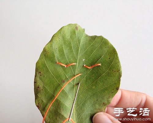 落葉創(chuàng)意DIY另類拼貼畫 -  rpnrmr.com