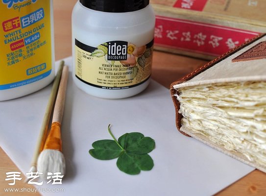 押花藝術(shù)DIY“植物百科全書” -  rpnrmr.com
