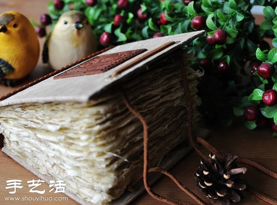 押花藝術(shù)DIY“植物百科全書” -  rpnrmr.com