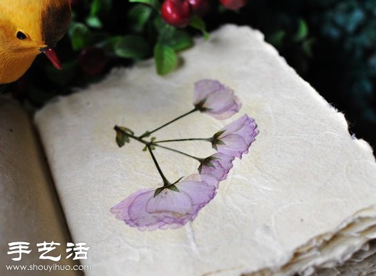 押花藝術(shù)DIY“植物百科全書” -  rpnrmr.com