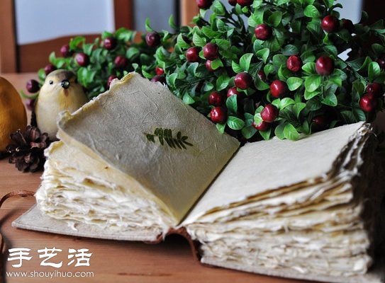 押花藝術(shù)DIY“植物百科全書” -  rpnrmr.com