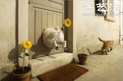 貓狗的趣味創(chuàng)意造型 -  rpnrmr.com